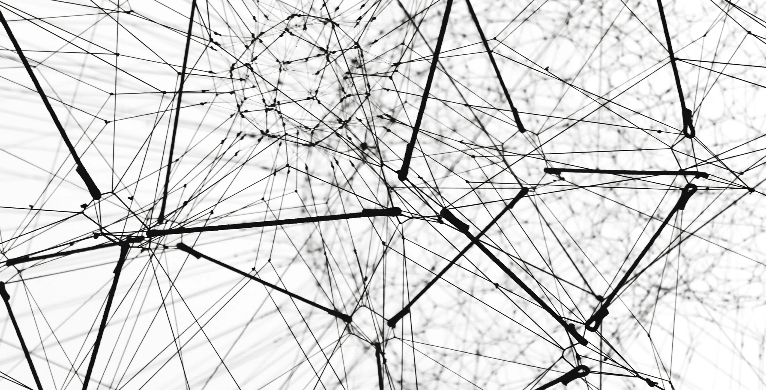 Digital Ecosystems: What Are They?