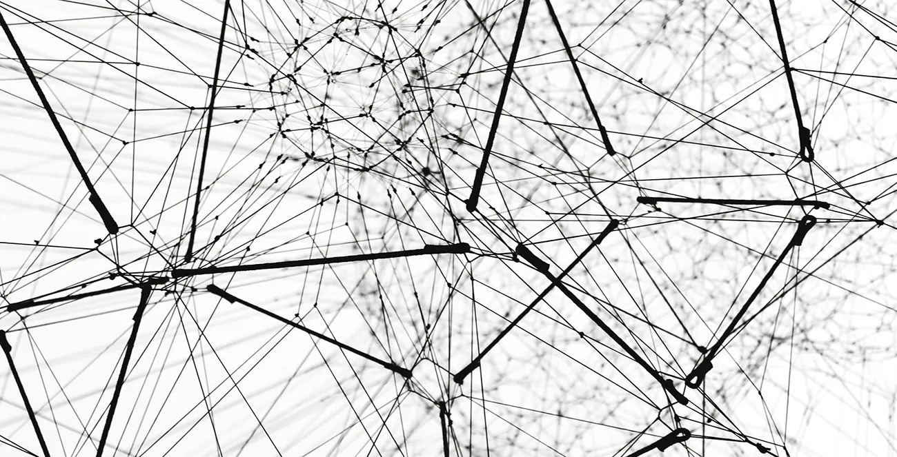 Digital Ecosystems: What Are They?