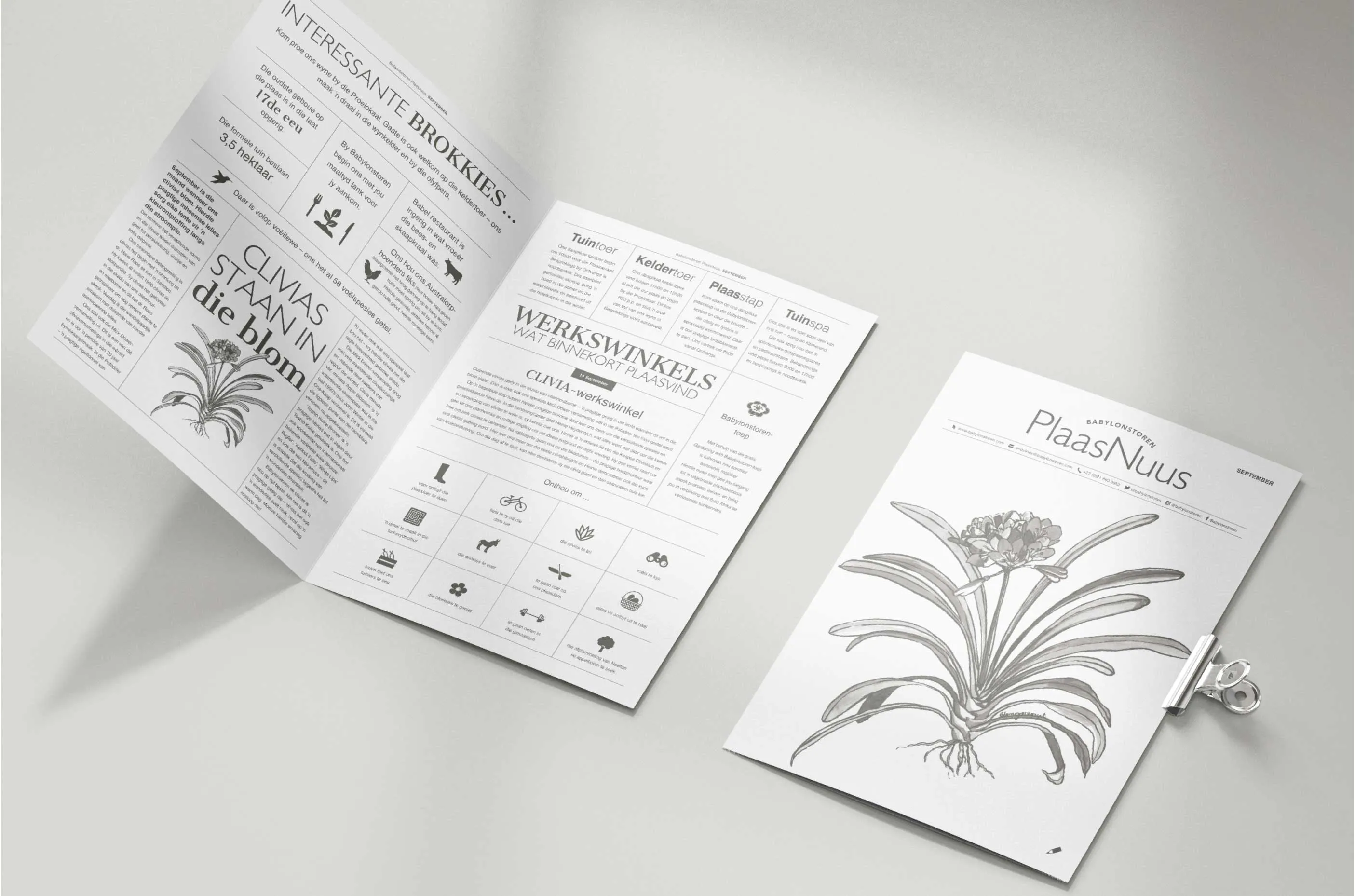 Babylonstoren Farm News layout