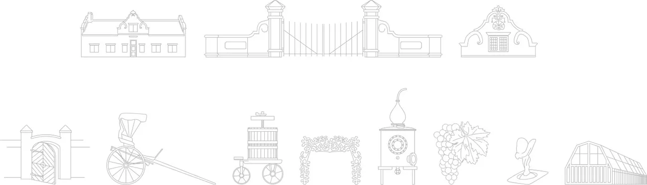 Blaauwklippen icon set detailed illustrations