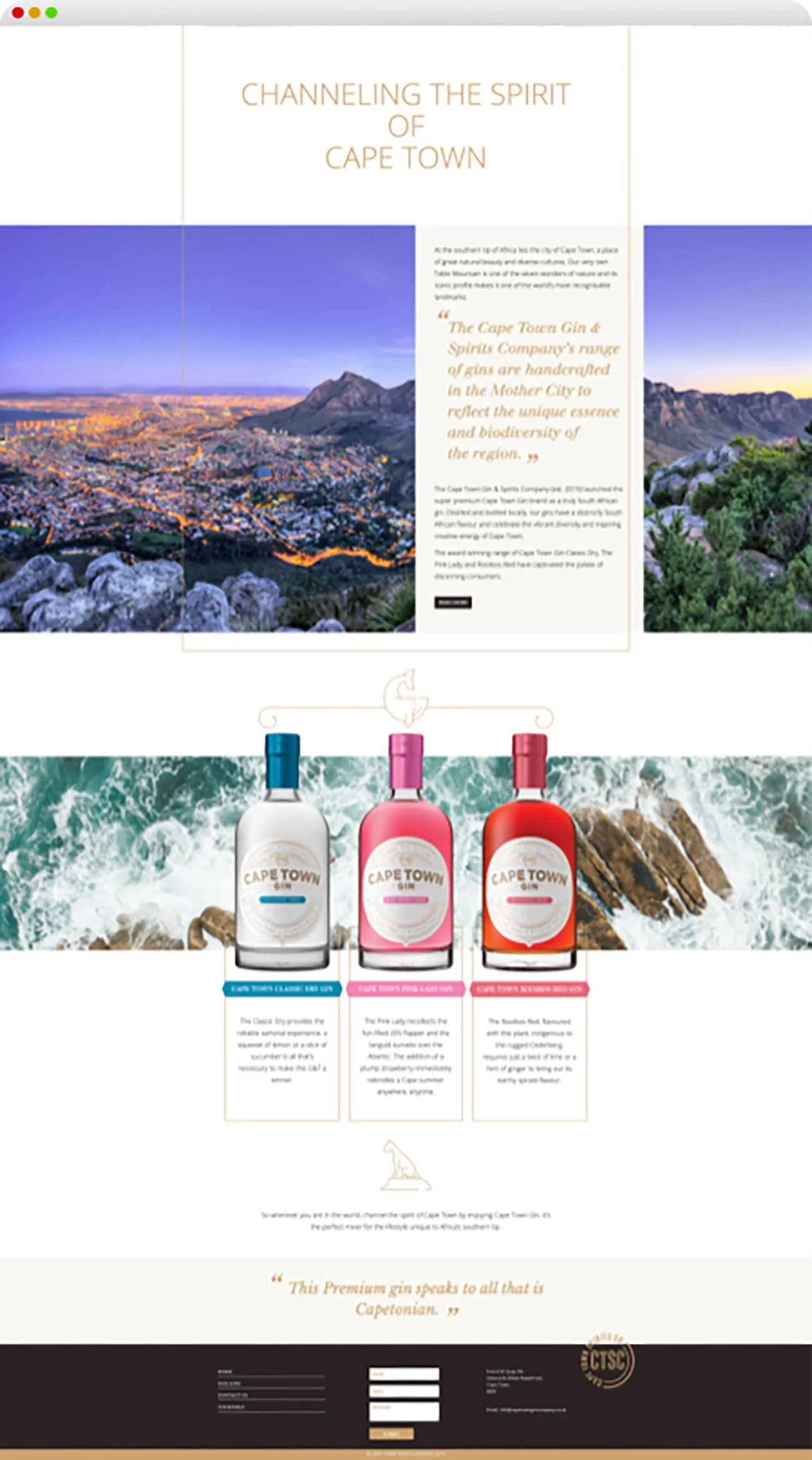 Cape Town Gin website homepage and product range design