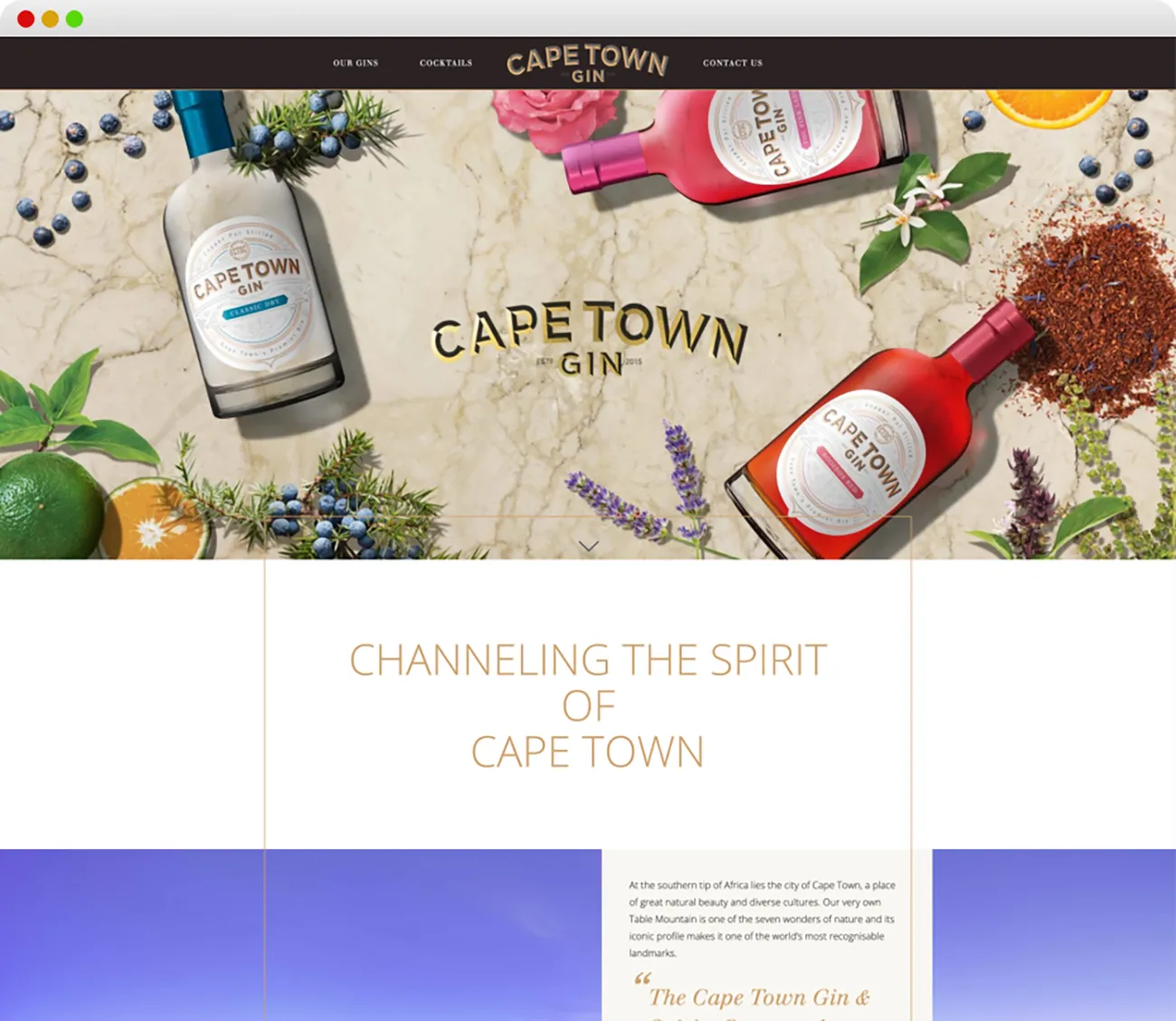 Cape Town Gin website design showcasing brand colours and icons