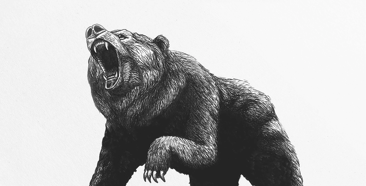 Great Bear Wine Label Design
