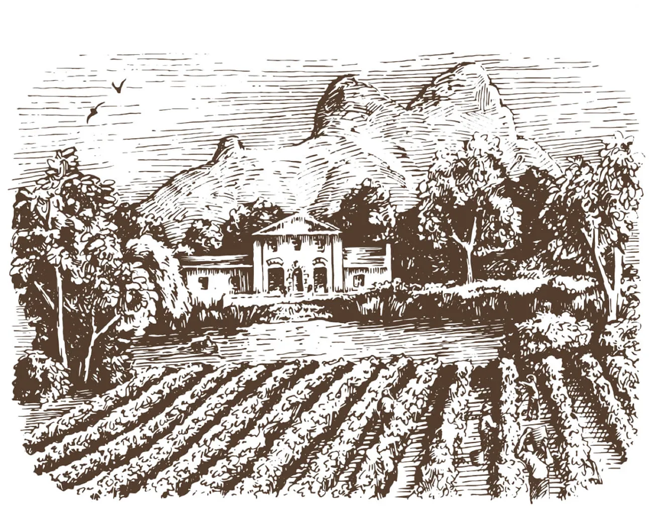 Marklew Label Wine Farm Illustration