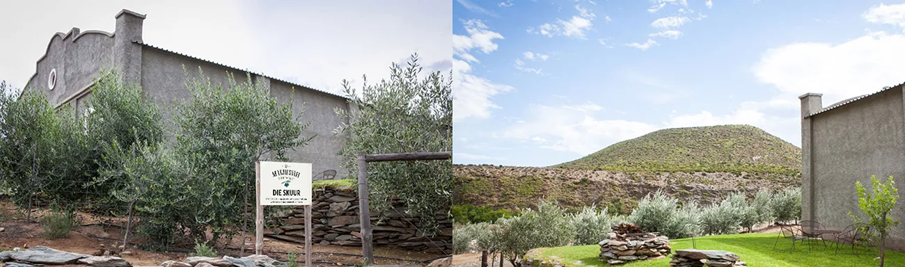 matjiesvlei farm