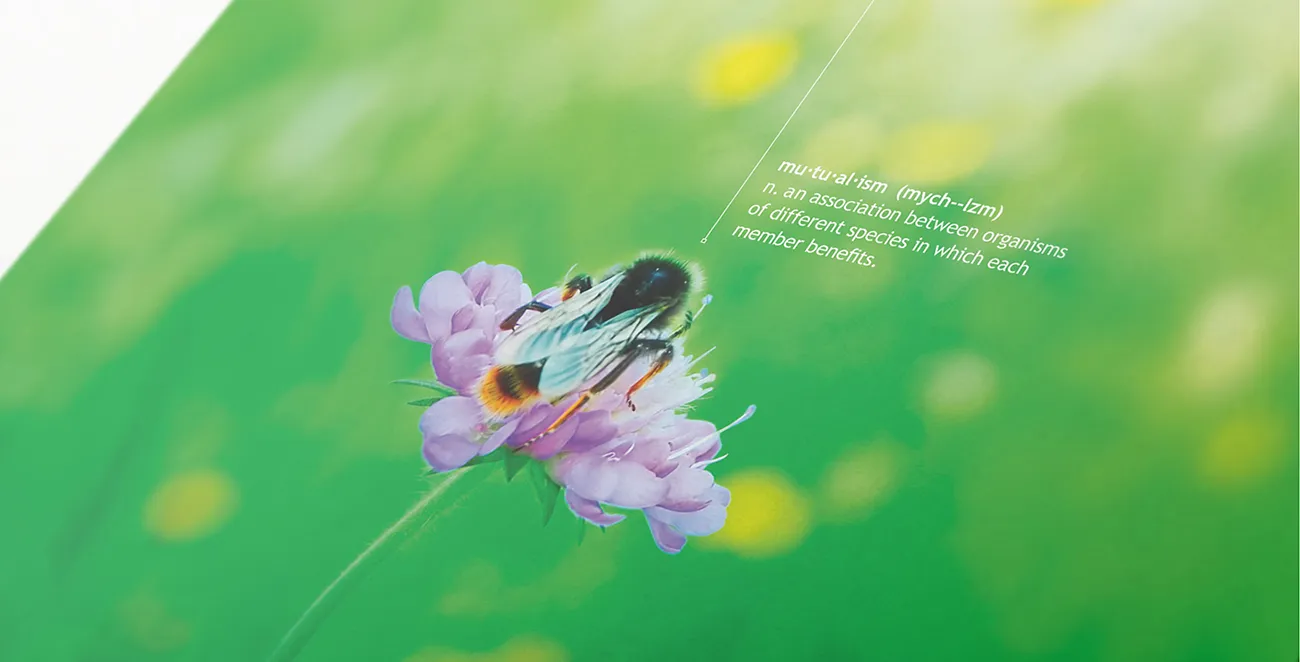 Old Mutual Sustainability Report Design