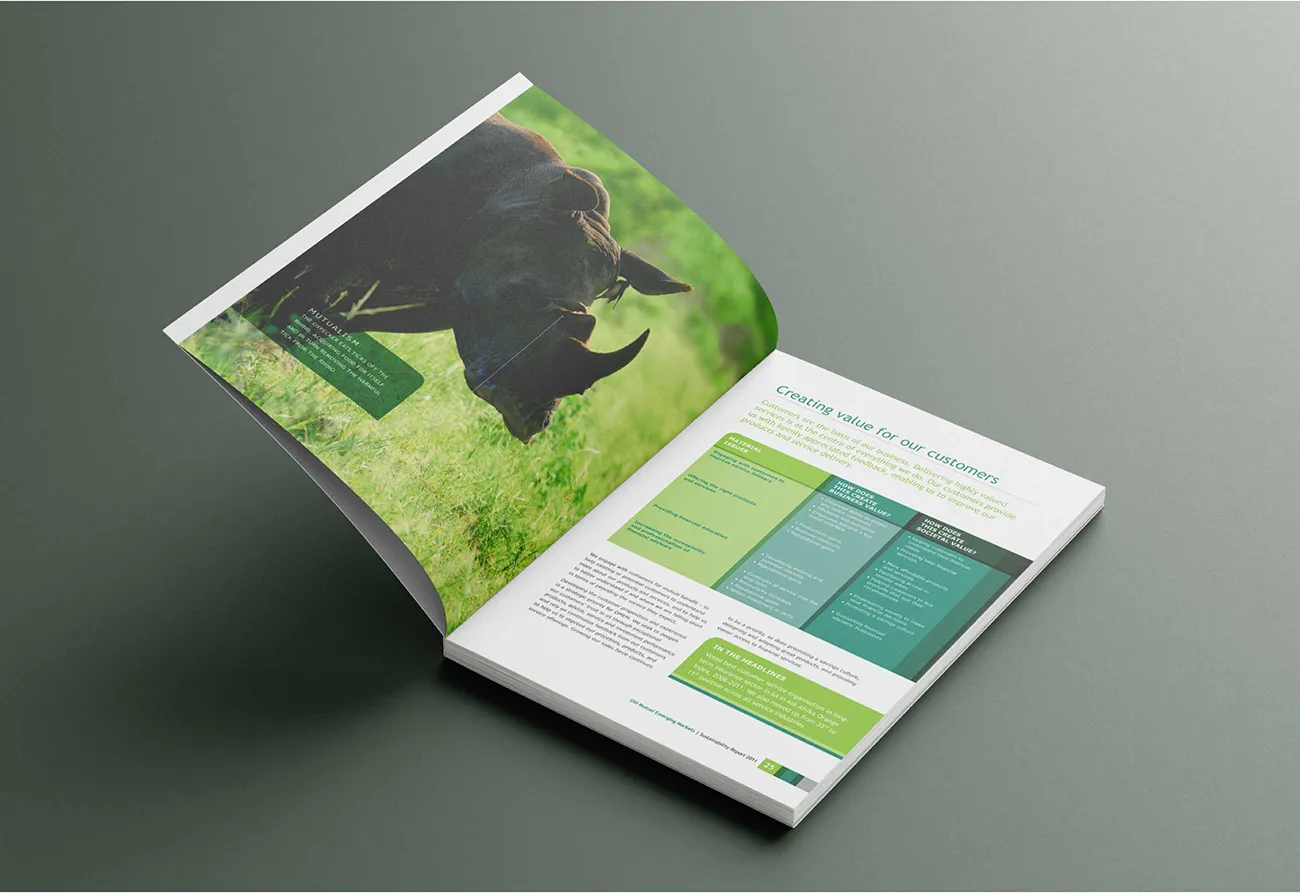 Old Mutual Sustainability Report page