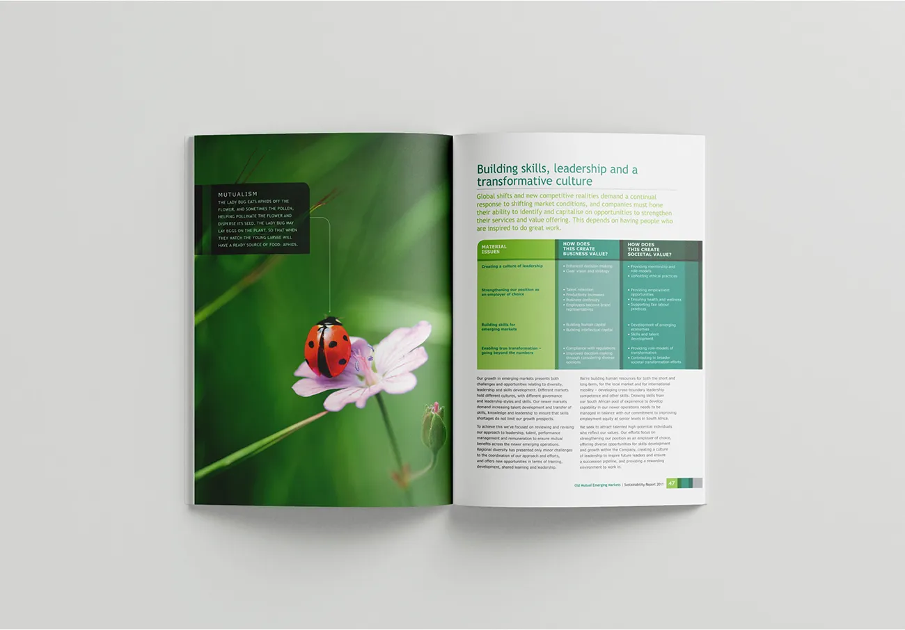 Old Mutual Sustainability Report pages