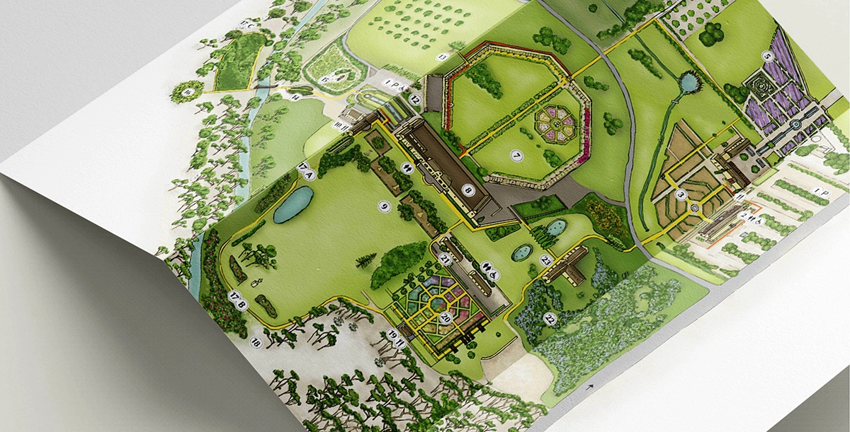 Illustrated Brochure Design