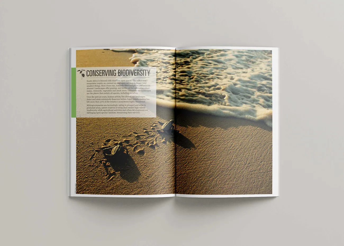 WWF biodiversity section design
