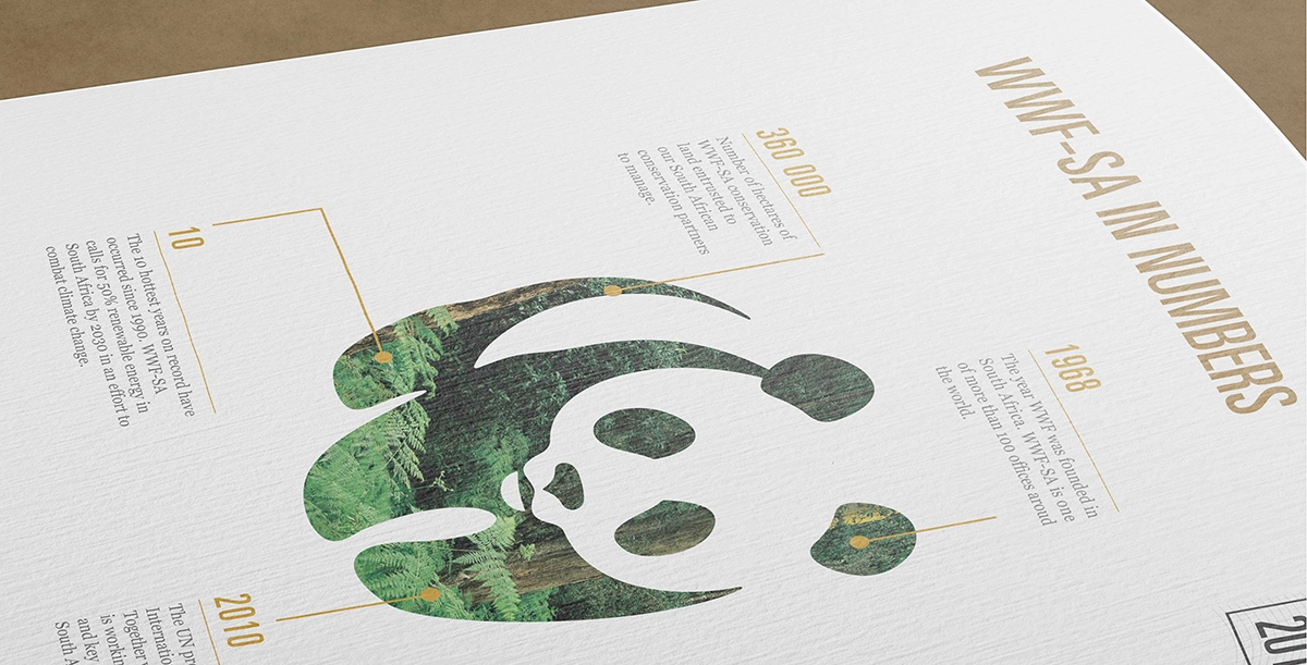 Annual Report Design