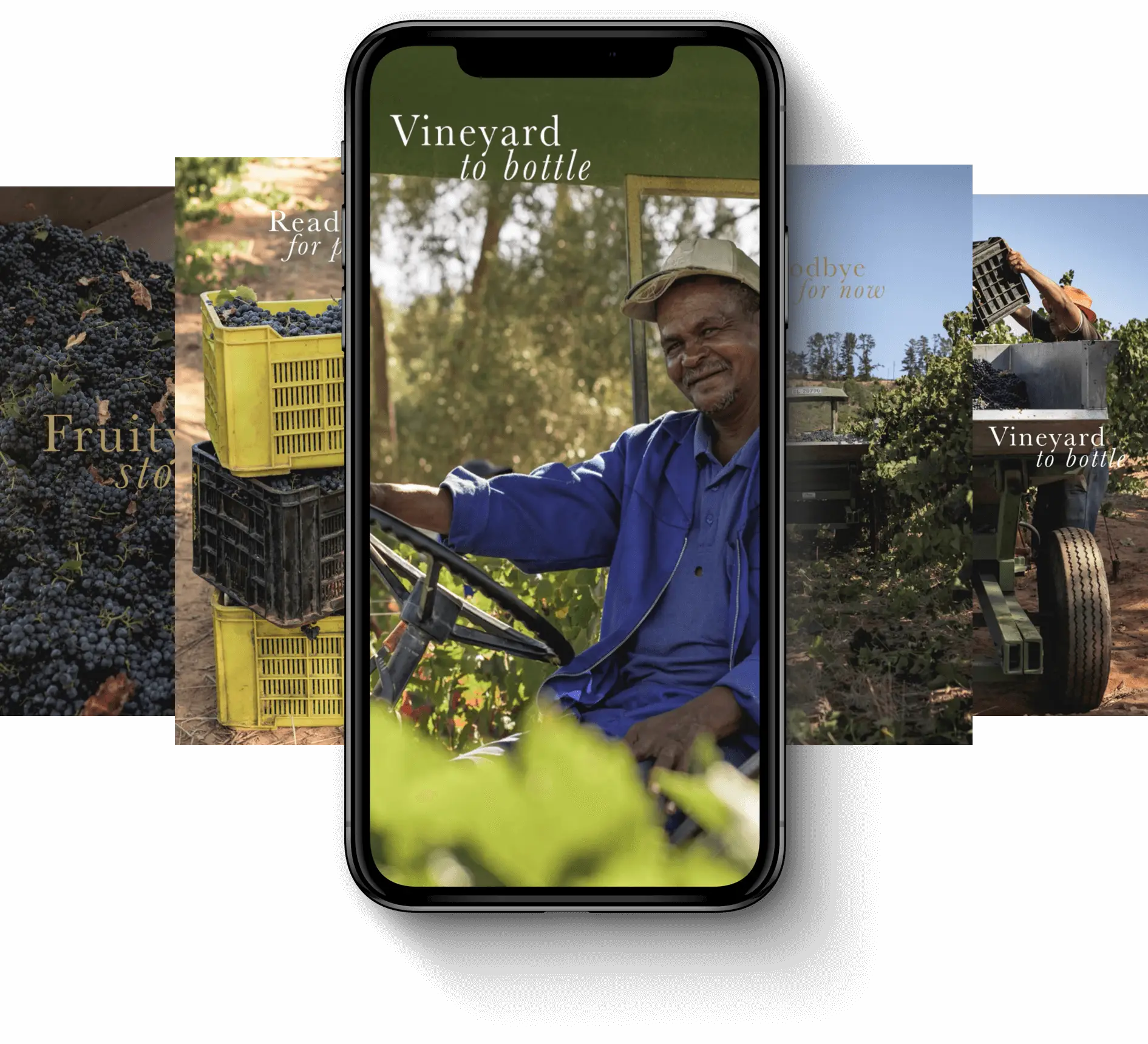 Zonnebloem's Vineyard to Bottle social media campaign on Stories by G2 as it would appear on an iPhone