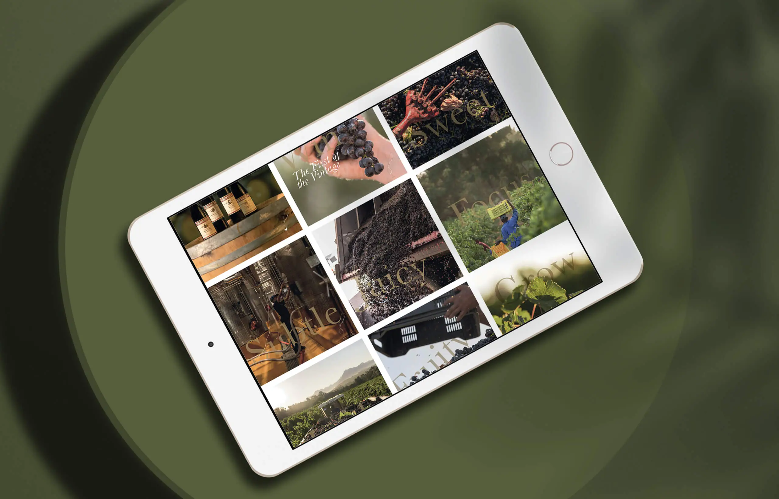Zonnebloem's Vineyard to Bottle social media campaign on Instagram by G2 as it would appear on a tablet