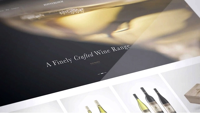 Zonnebloem Website Design and Development